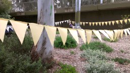 11-E5237DCD-2887323-1280-100