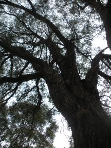 2014-04-25 16.10.31-3