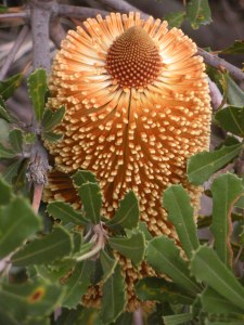 2014-04-25 16.10.31-31