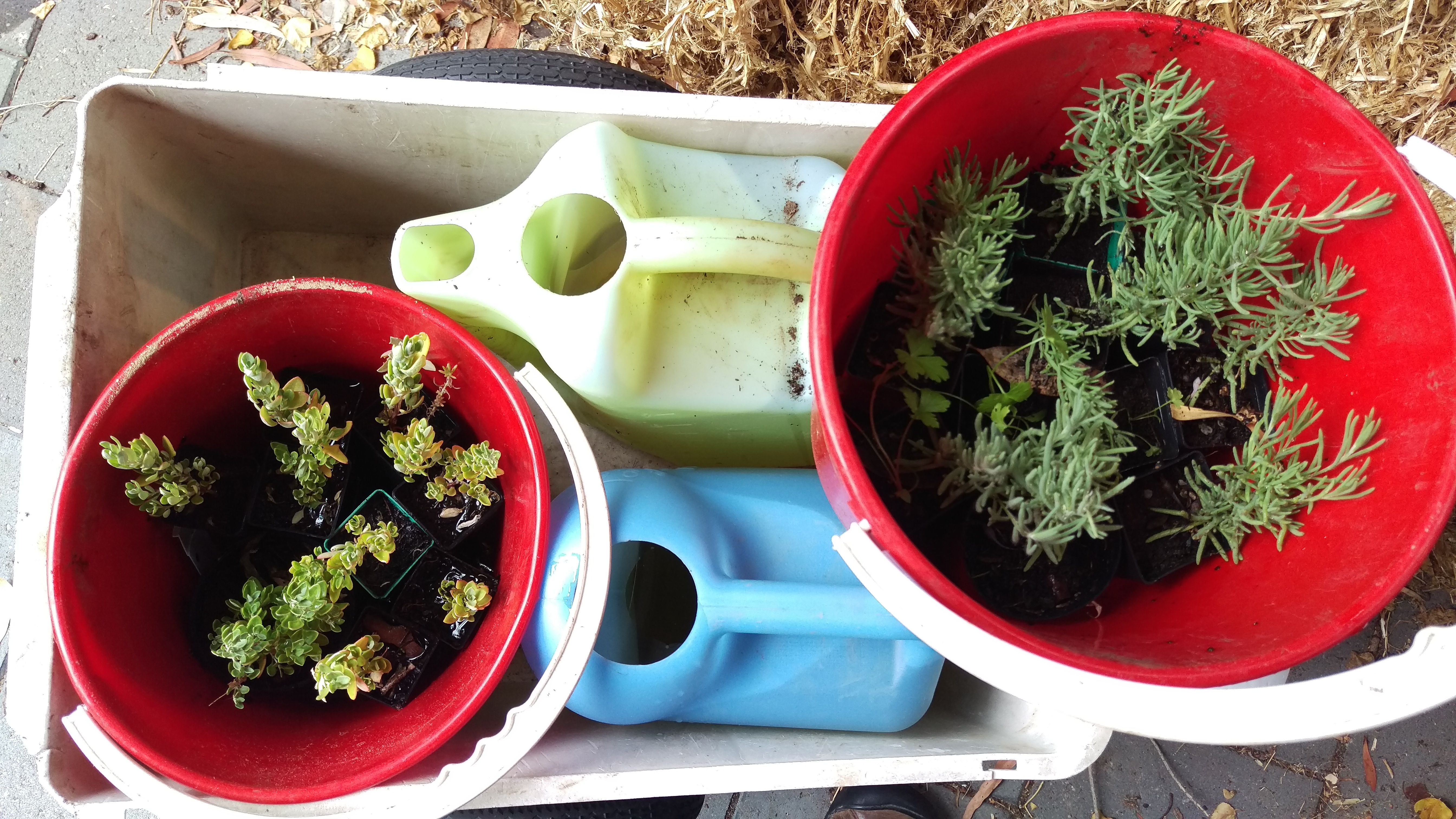 2016-03-26 15.53.13.jpg