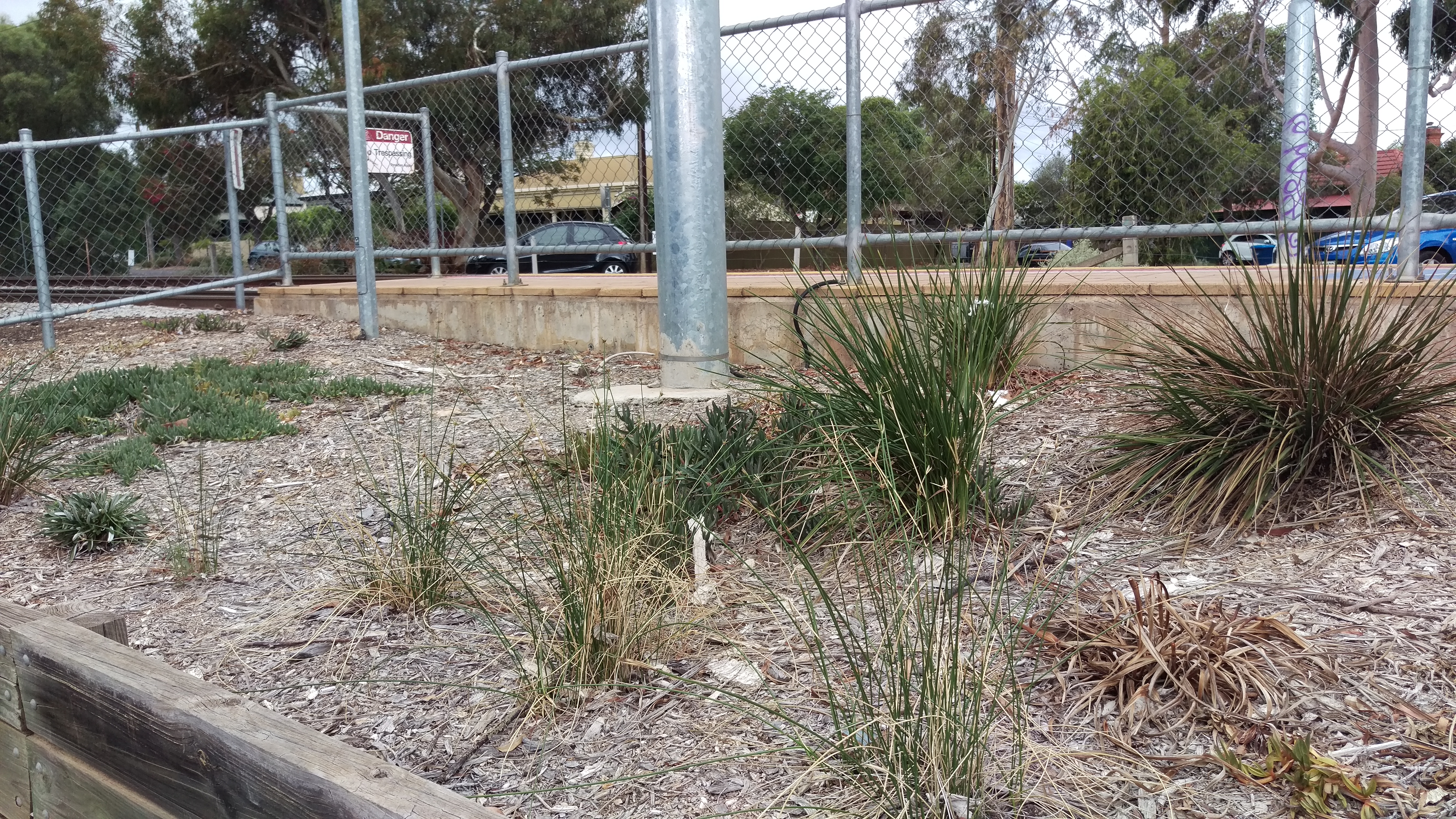 2016-03-26 16.10.32.jpg