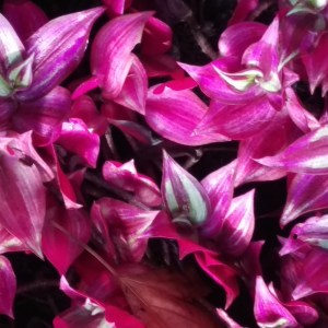 IMG_20170630_121205_002