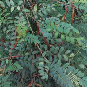 IMG_20171224_093952_243