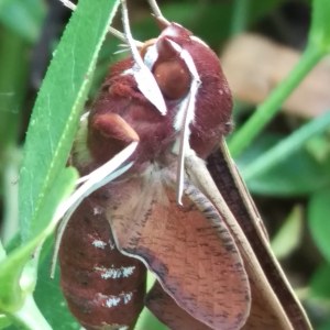 IMG_20171230_124725_299